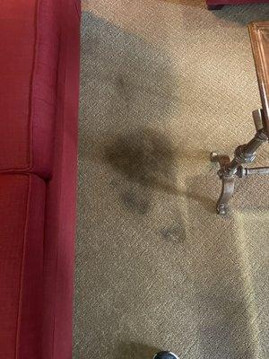 Carpet cleaning