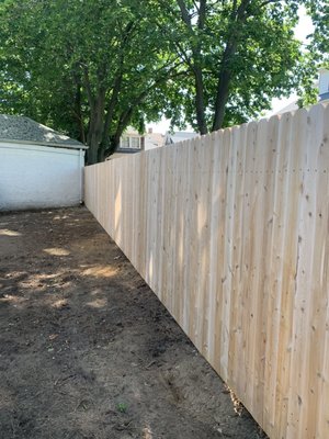 Cedar dog eared fence