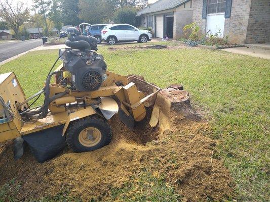 This is a tree stump I removed for $100