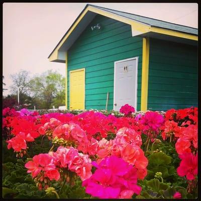 Carolina Farmers Market