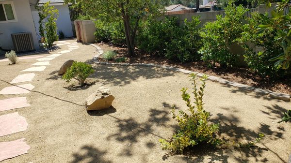 Wax leaf privet border and stepping stone walkway with decomposed granite. Some shadows in photo.