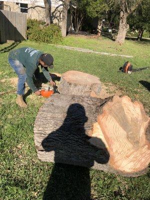 Finishing a big tree removal