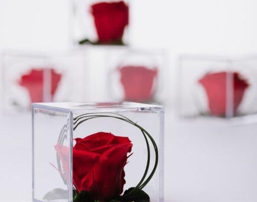 【Long lifespan】Preserved flower is made of natural fresh cut rose, it can last for 3-5 years, it it the symbol of your eternal love, your ev