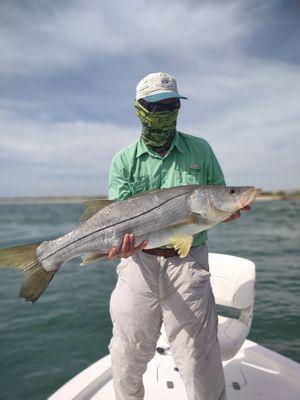 Big Momma Snook