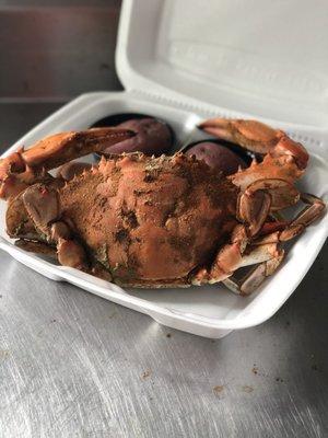 $1 Light Crab