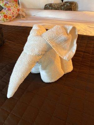 This towel elephant was too cute to actually use!