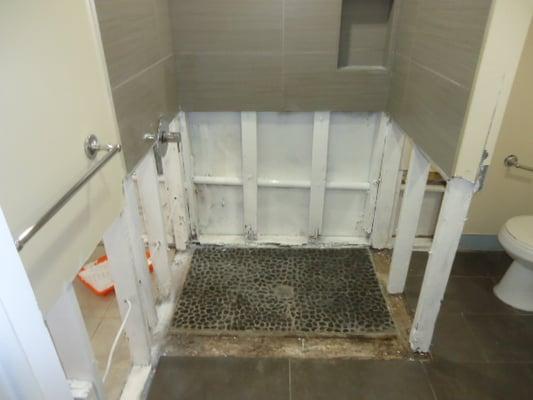 After photo showing mold remediation completed in shower