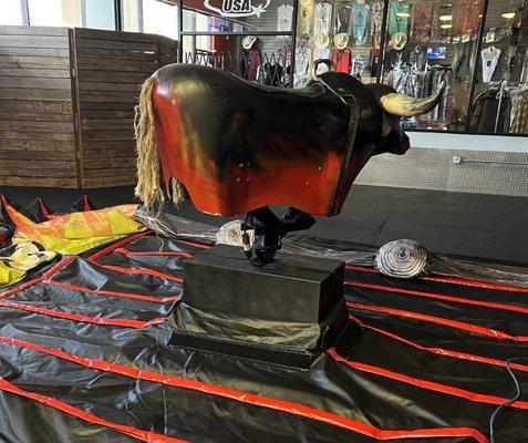 Mechanical Bull in the House