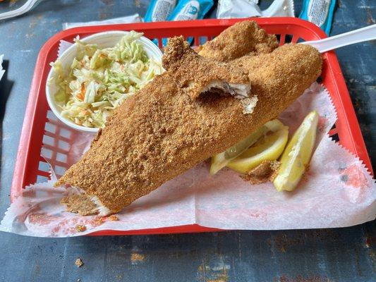 FRIED WALL EYE FISH WITH COLESLAW SALAD