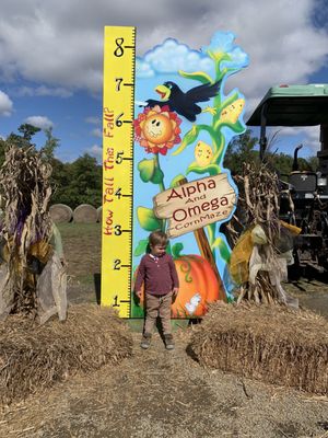 Alpha and Omega Corn Maze