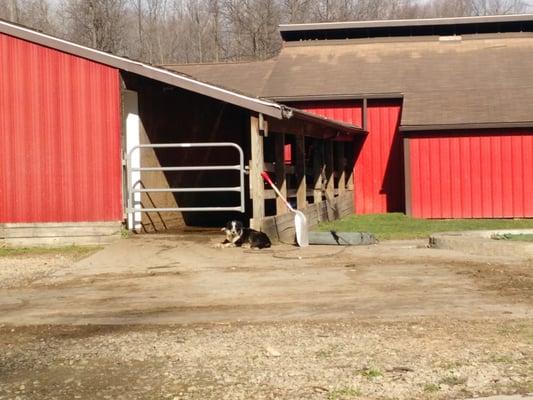 Tour of dairy farm included.