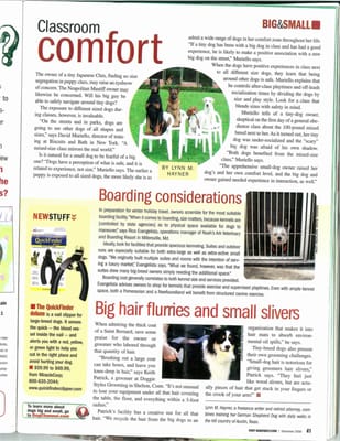 Dog Fancy Article