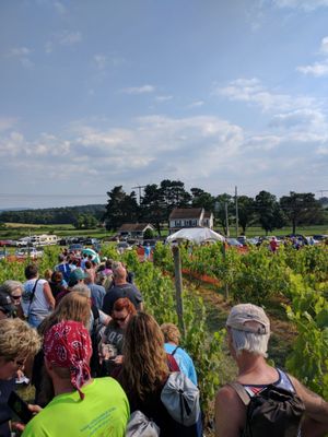 Waiting in line in vineyard