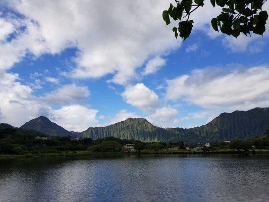 Gorgeous koolau views