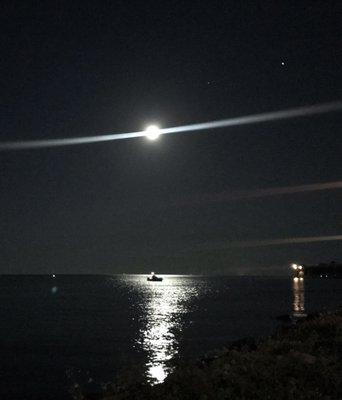 Romantic view from the marina! #neowise