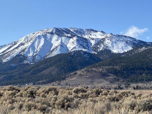 The grooming shop is located in beautiful Washoe Valley.