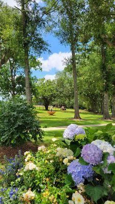 June Blooms on Waters Edge Acreage