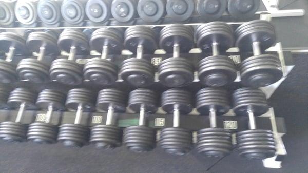 Nice selection of dumbells!