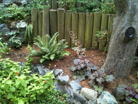 Native grotto planting