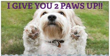 2 paws up!