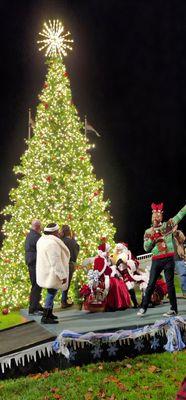 2021 Christmas tree lighting