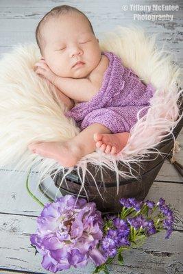 Newborn Portraits