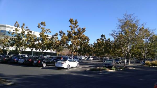 Parking lot to the left of building