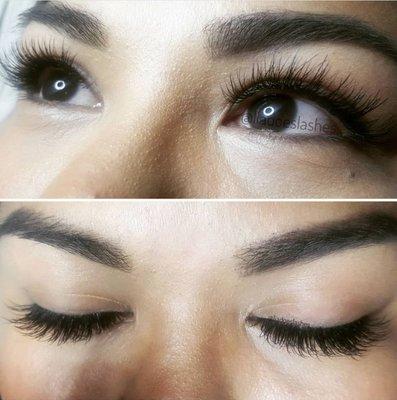 Classic Lashes