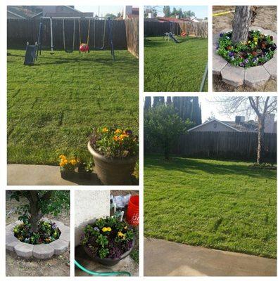 Landscaping reno at an old property we owned