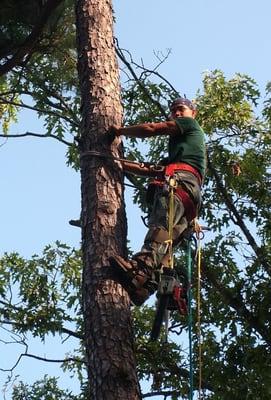 Wildlife Evictors