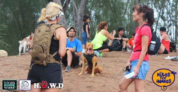 Great people, great dogs, great conversation, great Hike with the Oahu SPCA "Hikes for Homes" & "Hiking Oahu With Dogs"