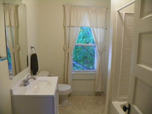 Our basic bathroom renovation