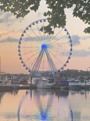 Beautiful FERRIS WHEEL