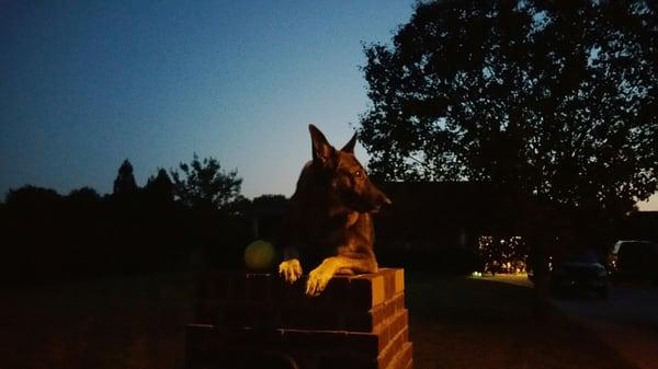 He loves sitting on mailbox. Lol.