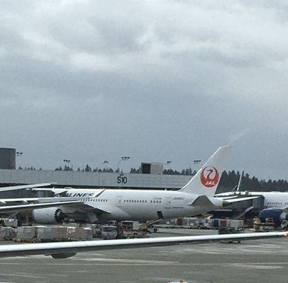 Japan Airlines - Boeing 787-8