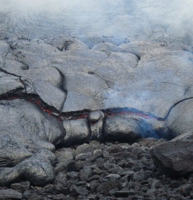 Lava Honu