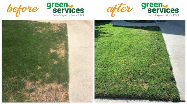 Before and After using Green Services, Inc