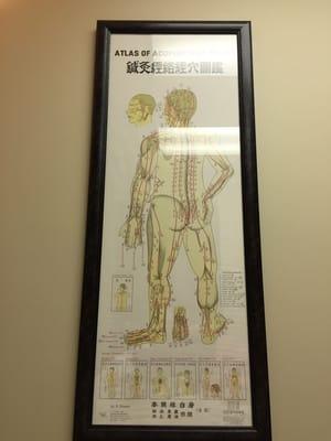 Atlas of acupuncture points