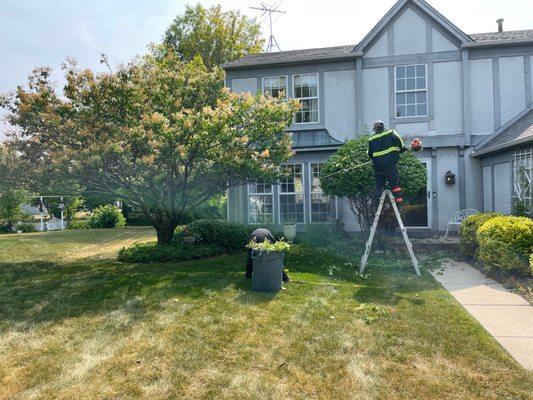 Home in southwest Elgin, IL. being serviced by Cedar V Tree Removal and Landscaping. Tree trimming and expert shaping.