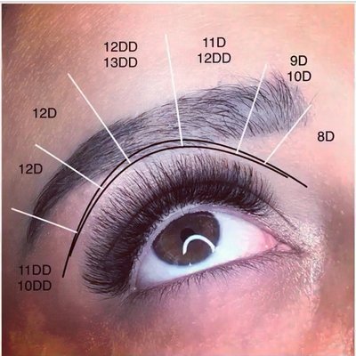 Diffrent Lash Lengths