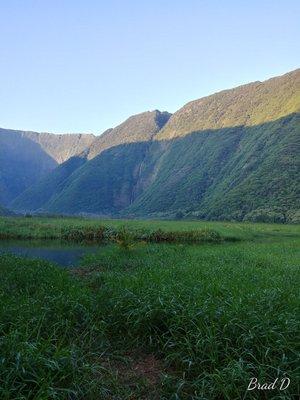 Muliwai Trail To Waimanu Valley