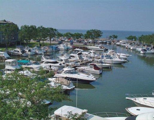 View of the marina from the finger docks