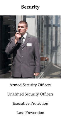 Security Services Provided