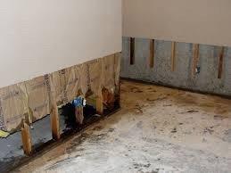 Ability Restoration Company in Glendale CA - Providing Free Estimates For Any Damage Restoration or Mold Remidietion.