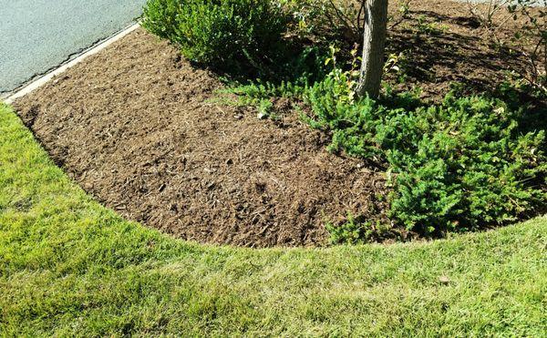 Jon's Lawns takes care of my mulch beds keeping them clean and looking good year round.