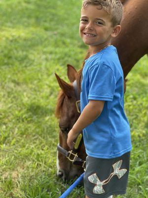 Equines for Healing