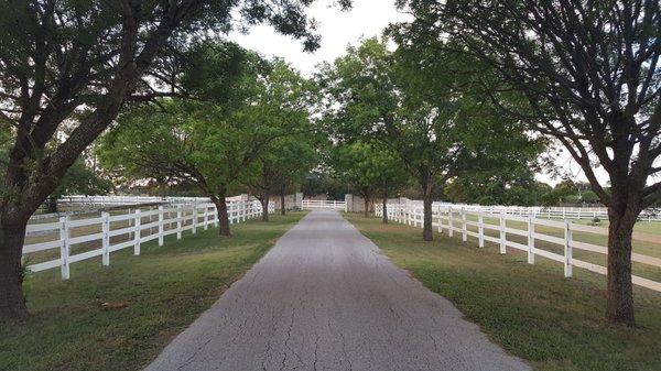 Salado Creek Riding Club - and boarding