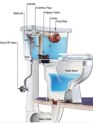 Understanding your toilet.