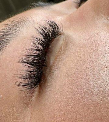 Volume Lashes