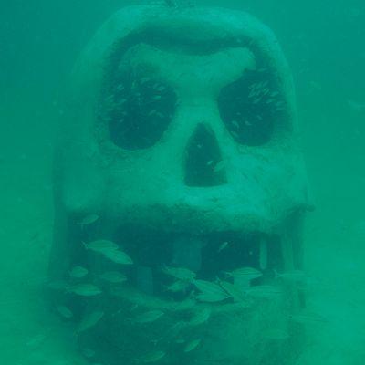 SWARA Skull at the Underwater Museum of Art